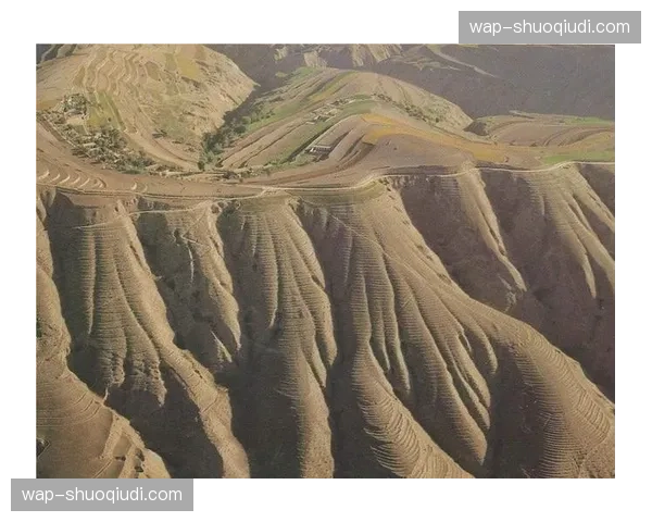 多通道汇聚传输系统应用 复杂地形体育赛事信号无忧